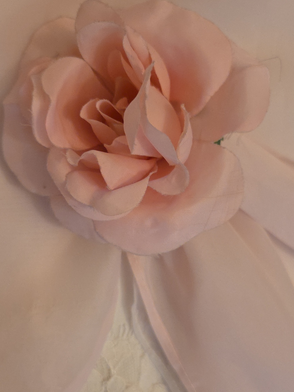 Light Pink Formal Dress - Picture 12 of 12